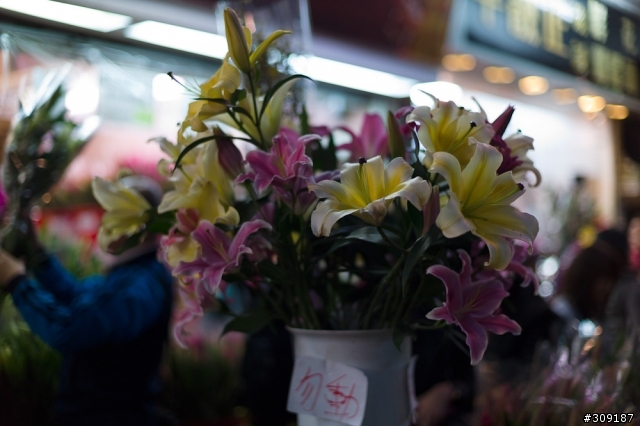 逛香港花市隨手拍