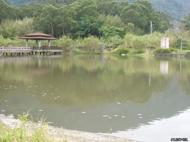 台北-池上  我和女王頂著寒流趴趴走.2/13-2/16