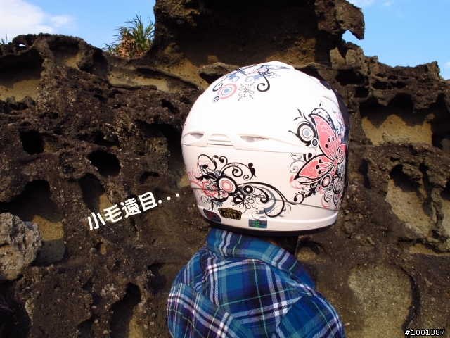 【開箱】M2R J-2女性彩繪開箱[蝶舞]