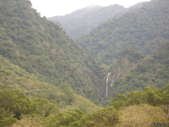 台北-池上  我和女王頂著寒流趴趴走.2/13-2/16