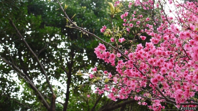 228最後一天連假出門去!