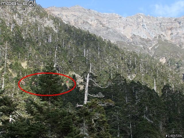 玉山暴走