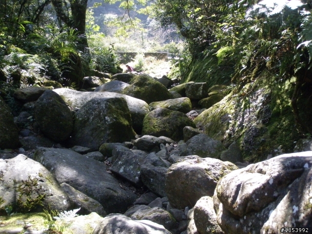 2月6日 北橫去北宜回 小狼單人探路