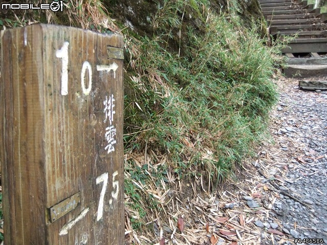 玉山暴走