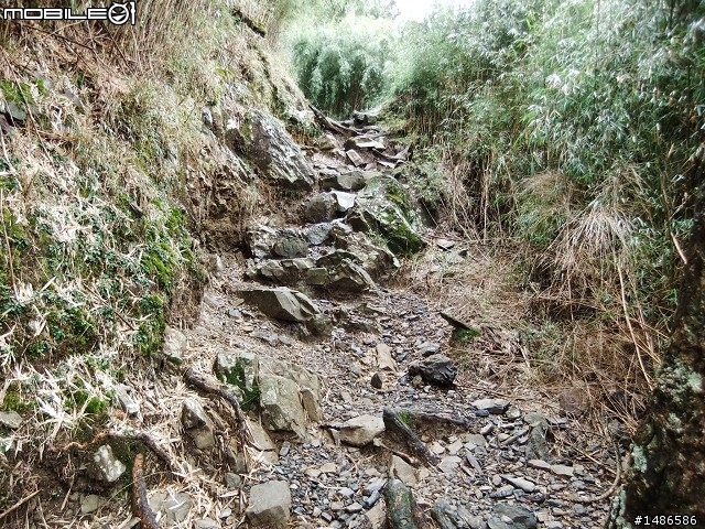 玉山暴走