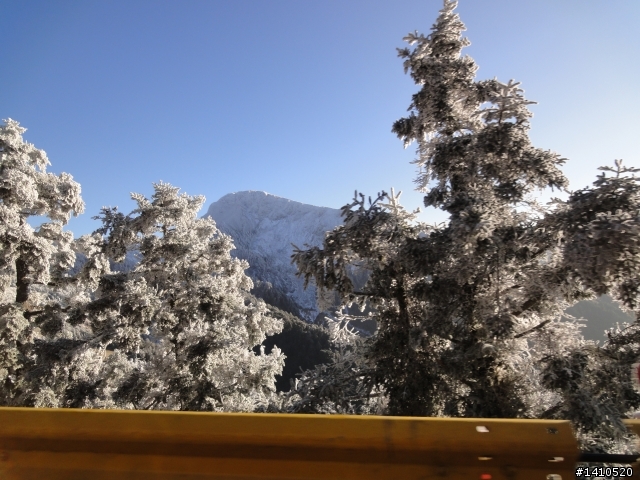 wx5  年假去合歡山跟福壽山 拍照分享