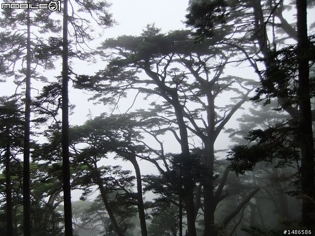 玉山暴走