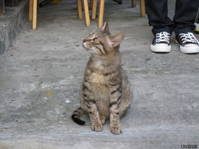 2011春節  猴硐 & 九份一日遊
