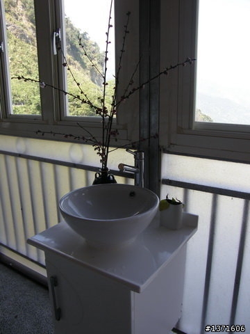 新中橫路上望高茶園116.5k{卡打車補給站}......................