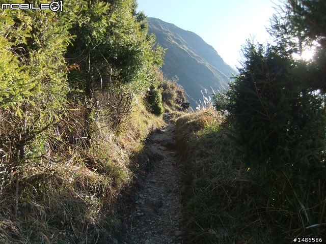 玉山暴走