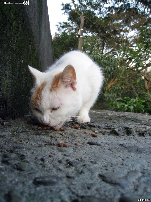 2011春節  猴硐 & 九份一日遊