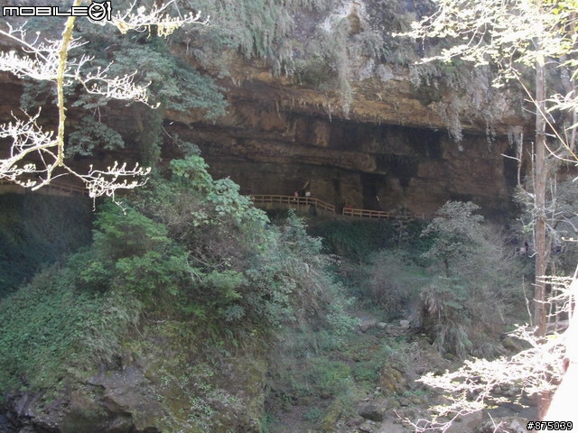 【２０１１年悠活盃】2/27南陌南投杉林溪散步芬多精之旅簽到版