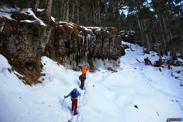 [5D2] 雪山賞雪趣