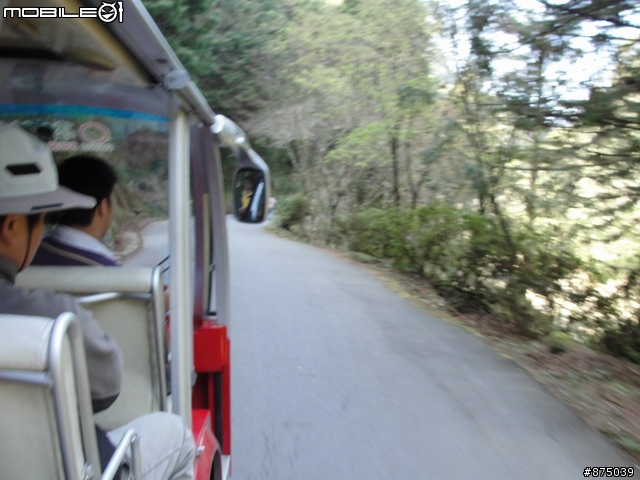 【２０１１年悠活盃】2/27南陌南投杉林溪散步芬多精之旅簽到版