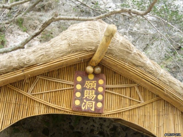 台北-池上  我和女王頂著寒流趴趴走.2/13-2/16