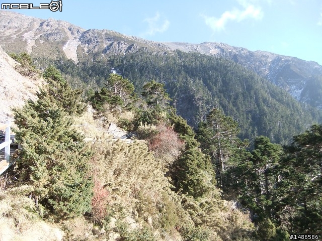 玉山暴走