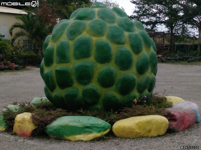 建國百年單人雙輪流浪之十天環島行(更新day7)