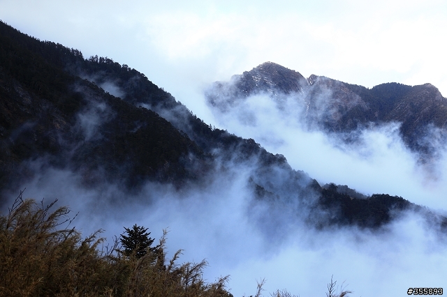 [5D2] 雪山賞雪趣