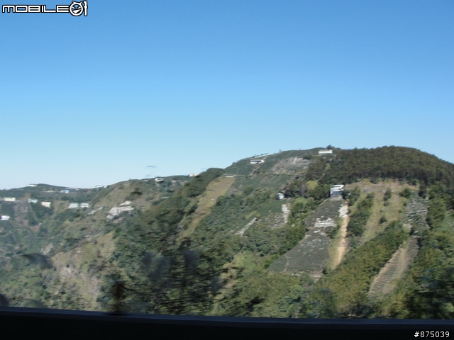 【２０１１年悠活盃】2/27南陌南投杉林溪散步芬多精之旅簽到版