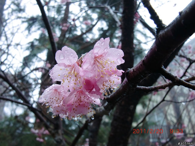 [開箱] 遲來的開箱- CASIO EX-G1 軍裝綠 (純外觀分享) 2/21 新增拍攝照片
