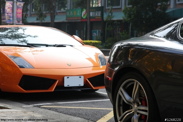 台中巧遇小橘牛