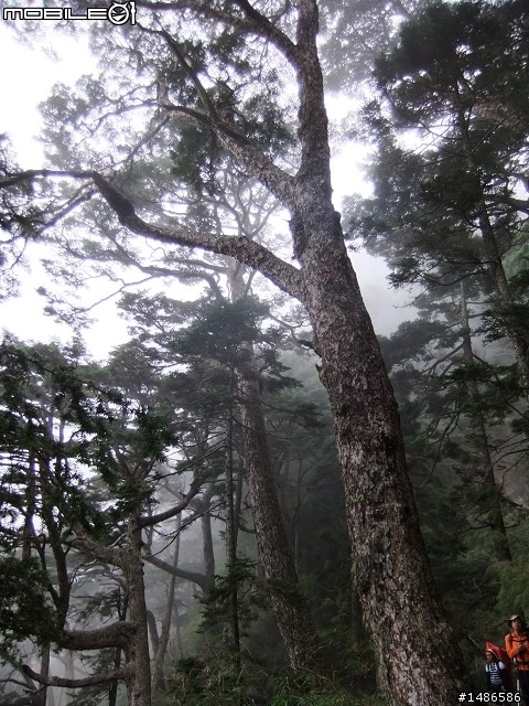 玉山暴走