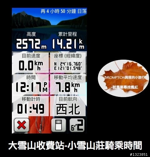 <BROMPTON與我的小旅行>就是要尋找楓紅