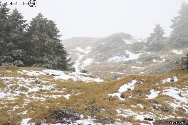 兩天一夜合歡山之見到雪了