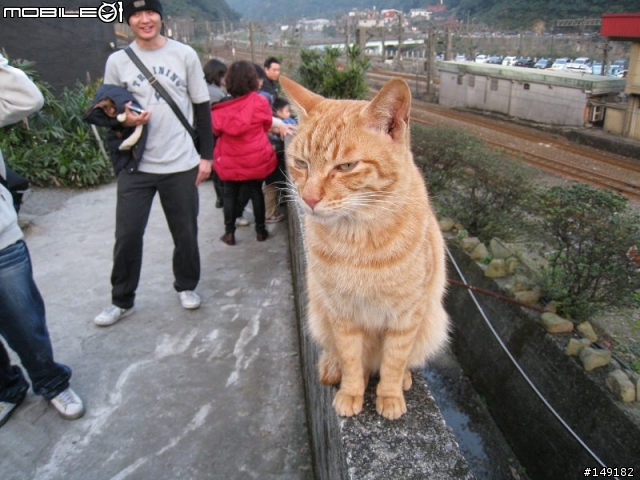 2011春節  猴硐 & 九份一日遊