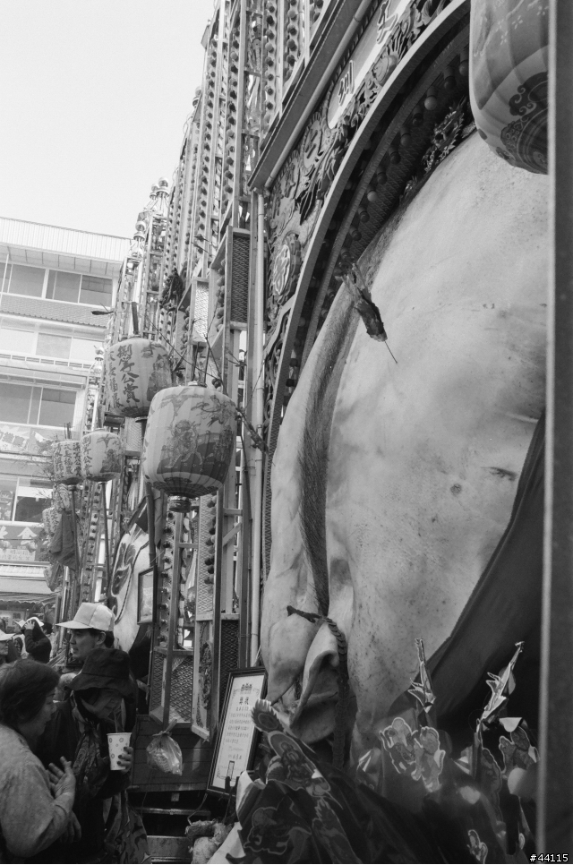 [分享]初六三峽祖師廟神豬~黑白底片