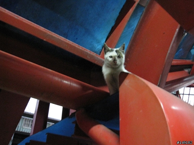 2011春節  猴硐 & 九份一日遊