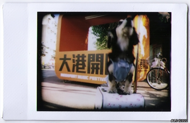 [蓋平房]使用拍立得的朋友一起來蓋吧。