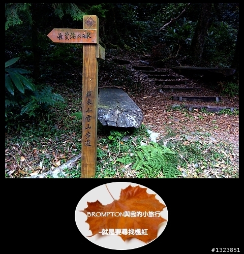 <BROMPTON與我的小旅行>就是要尋找楓紅