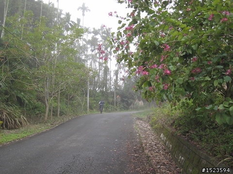 輕騎逍遙山嵐飄邈間 ~ 澐水、中崙溫泉