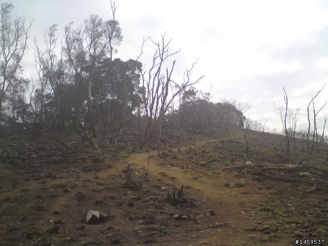 off road～之南寮