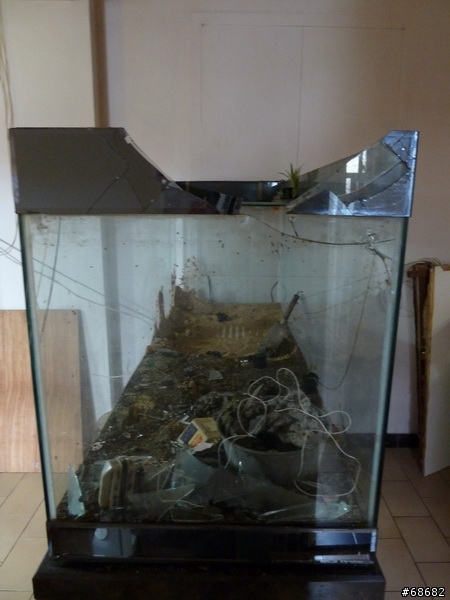 家中破損的大魚缸如何處理??
