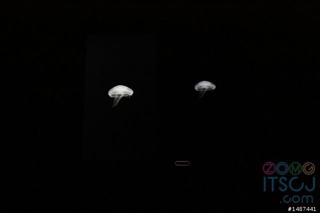 XPERIA ARC屏幕对比诺基亚N8。。。20张高清对比一次看个够。。。