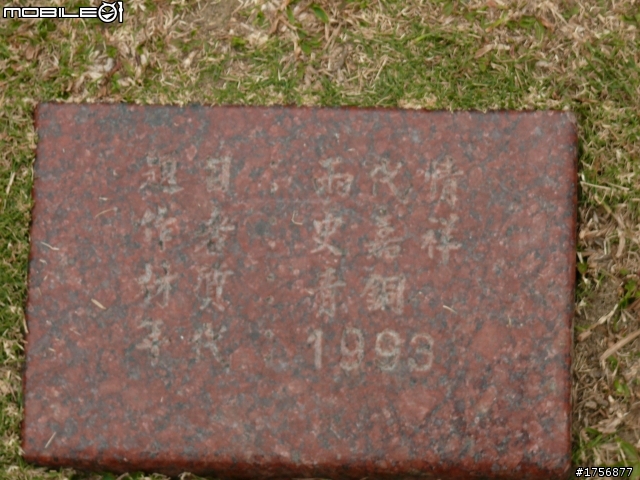 【小品】台中市區''豐樂雕塑公園''任意跑