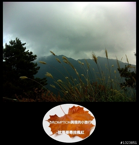 <BROMPTON與我的小旅行>就是要尋找楓紅