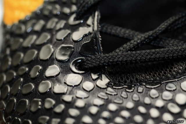 今日入手100MM f2.8L Macro IS USM