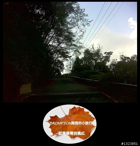 <BROMPTON與我的小旅行>就是要尋找楓紅