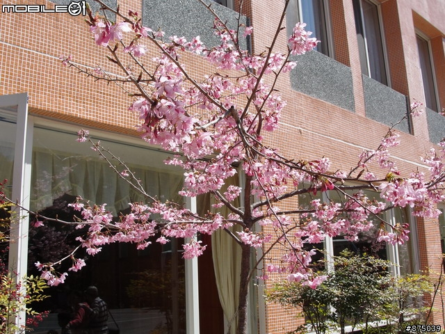 【２０１１年悠活盃】2/27南陌南投杉林溪散步芬多精之旅簽到版