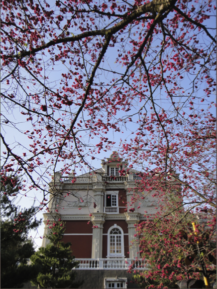 帶著TX9去九族賞櫻～～～～