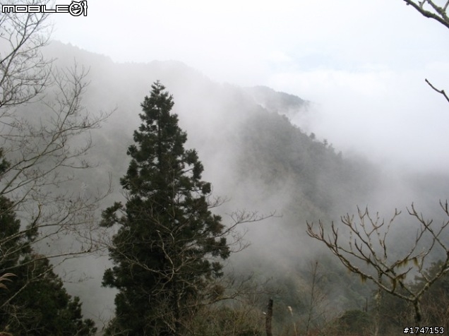 2011/2/13 太平山"殘"雪