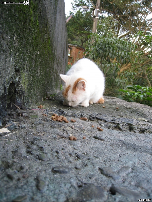 2011春節  猴硐 & 九份一日遊
