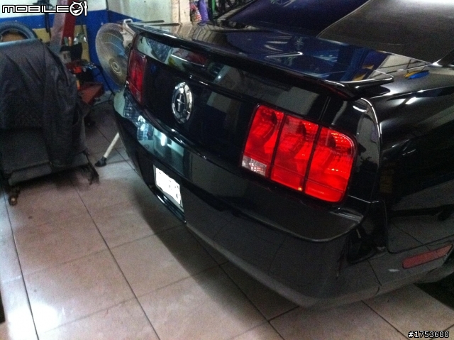 MUSTANG現身