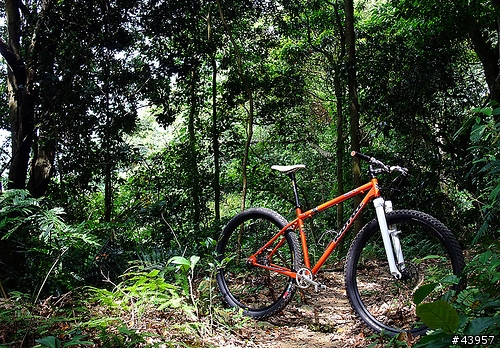 [分享]大輪子給我截然不同的新感受 2011 Giant Anthem X 29er(二奶兒)