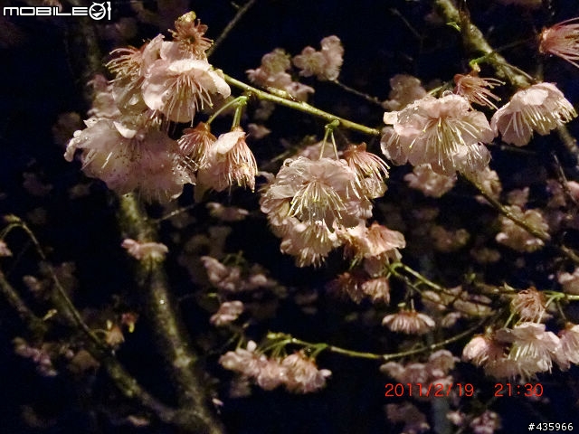 [開箱] 遲來的開箱- CASIO EX-G1 軍裝綠 (純外觀分享) 2/21 新增拍攝照片