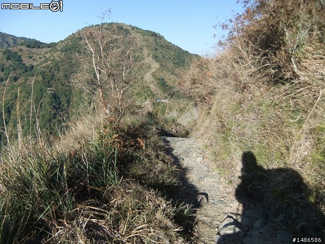 玉山暴走