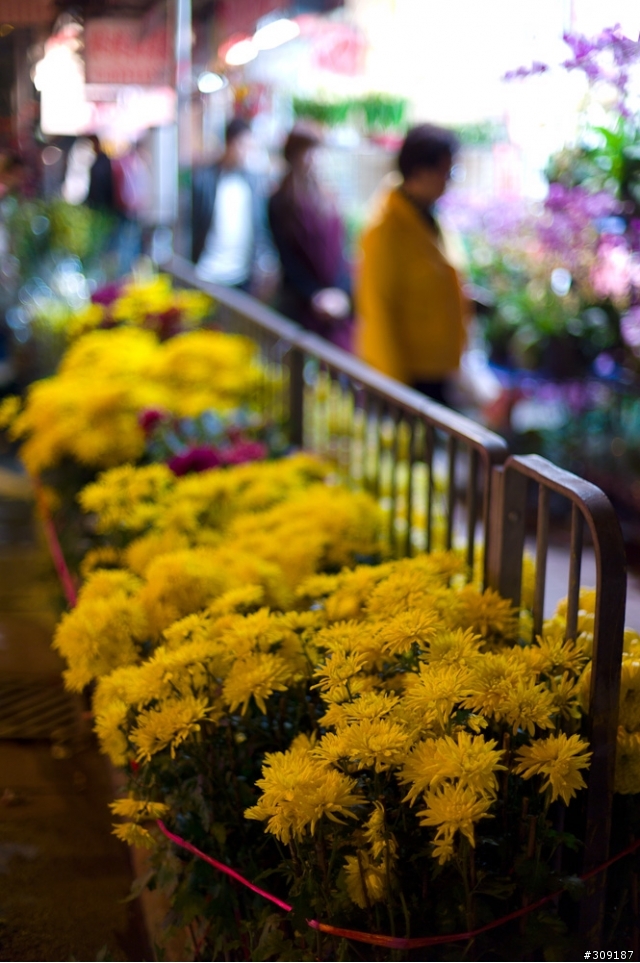逛香港花市隨手拍